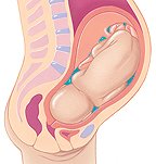 تغییرات سه ماهه سوم بارداری-دکتر پریسا علمی- جراح و متخصص زنان، زایمان و نازایی-دوره تکمیلی لاپاراسکوپی-دوره تکمیلی سونوگرافی بارداری و زنان دوره تکمیلی لیزر هیرسوتیسم-دارای بورد تخصصی-gynaecology